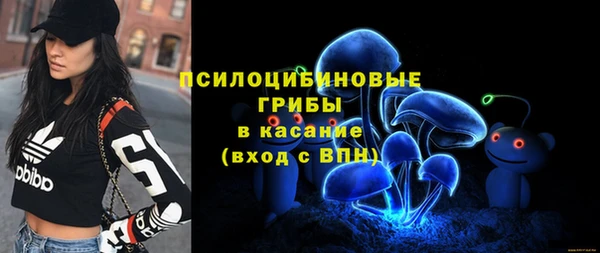 ГАЛЛЮЦИНОГЕННЫЕ ГРИБЫ Елизово