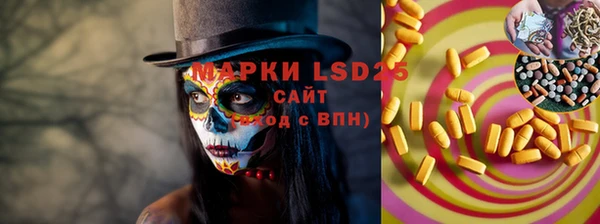 ГАЛЛЮЦИНОГЕННЫЕ ГРИБЫ Елизово