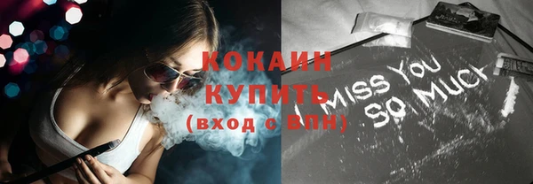 дурь Ельня
