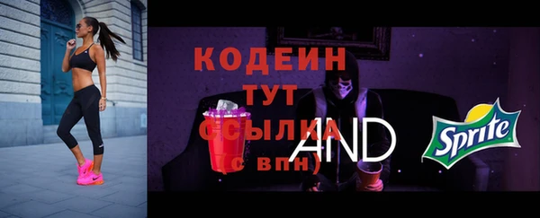дурь Ельня