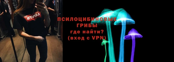 дурь Ельня