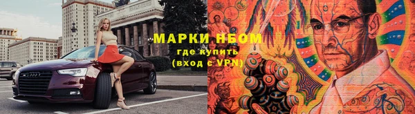 дурь Ельня